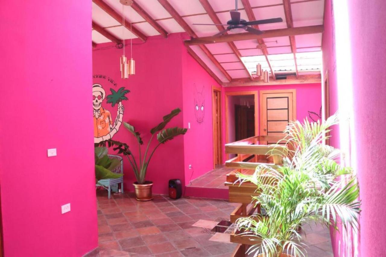 Planet B Hostel - Adults Only Manuel Antonio Exterior photo
